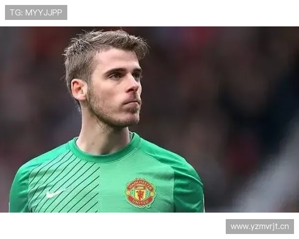 罗德里戈的上限体现在哪些具体维度